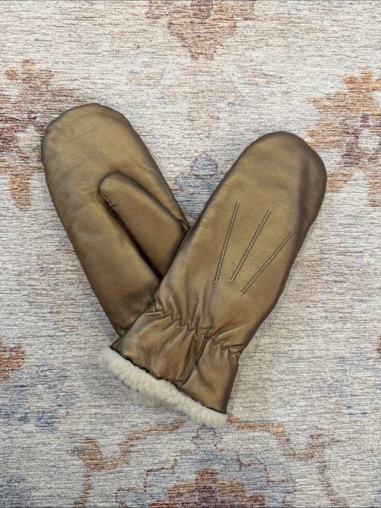 Danier Accessories - Danier Taupe Genuine Leather Lined Mittens S/M